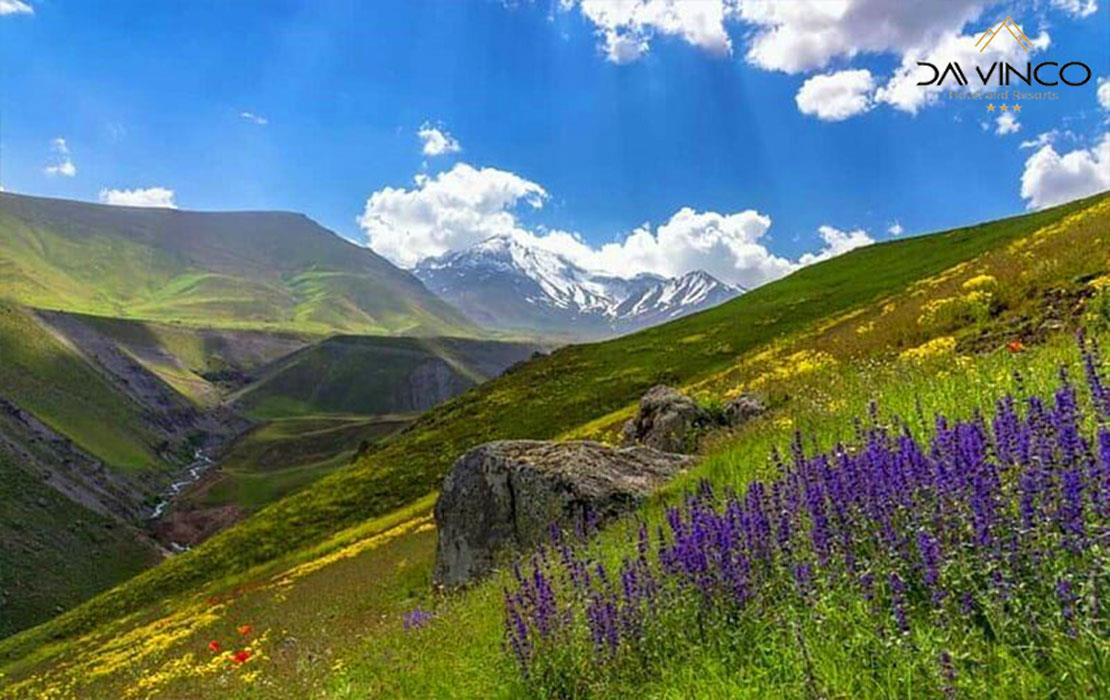 آشنایی با جهنم دره - داوینکو